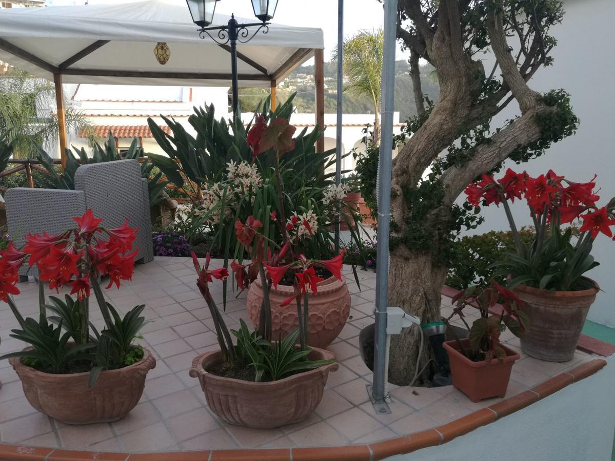 Villa Loreta Forio di Ischia 외부 사진