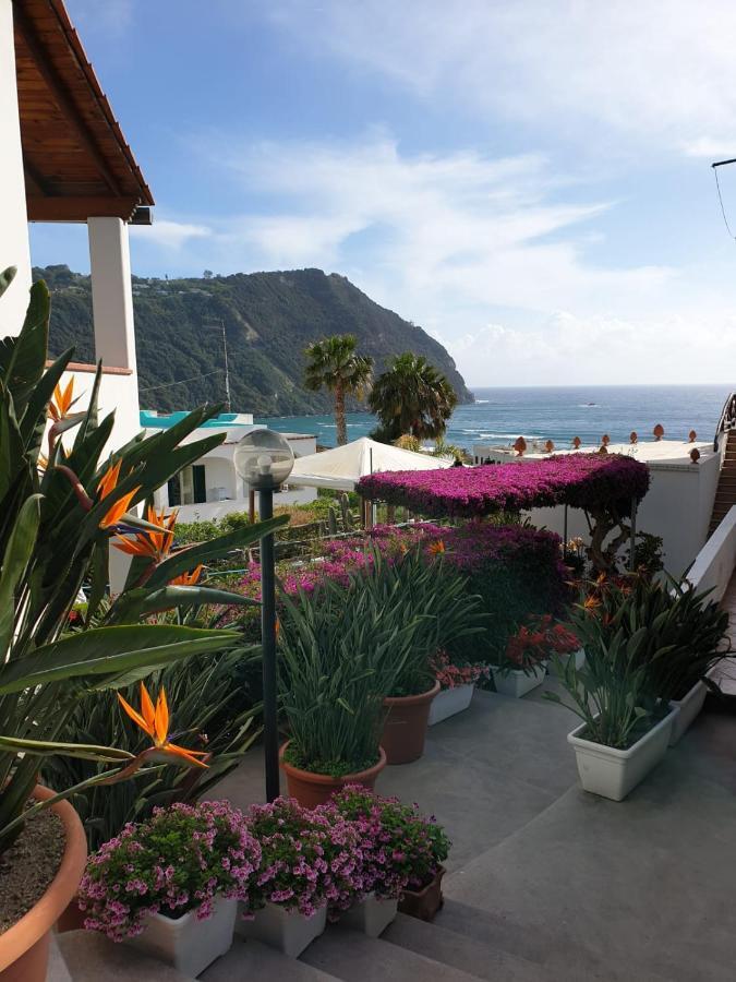 Villa Loreta Forio di Ischia 외부 사진