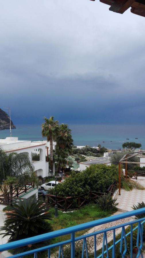 Villa Loreta Forio di Ischia 객실 사진